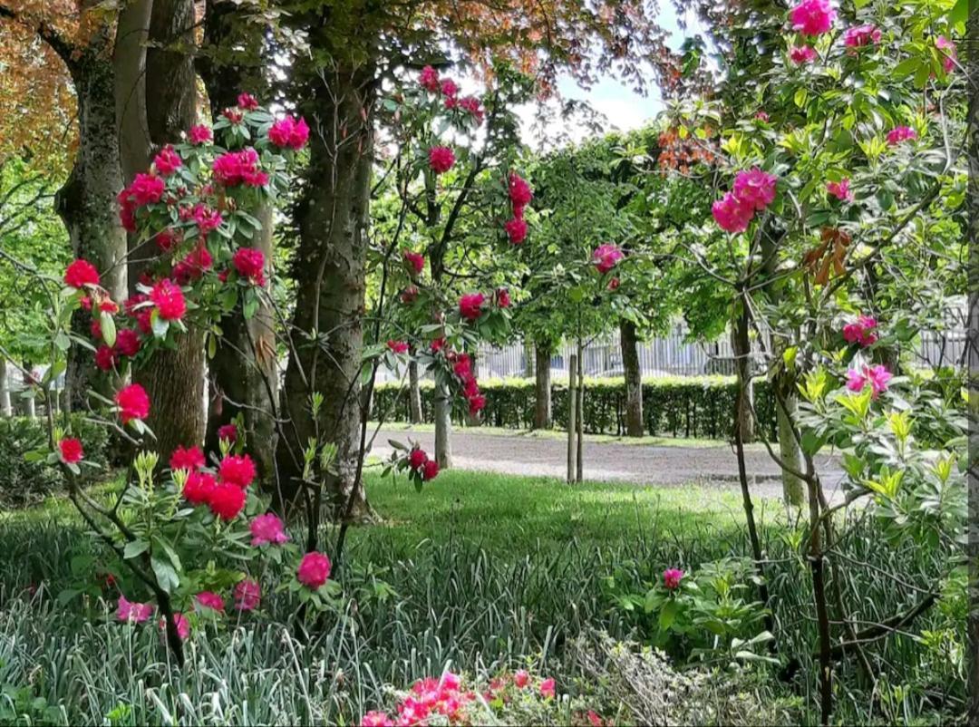 La Romantique Bourges Dış mekan fotoğraf